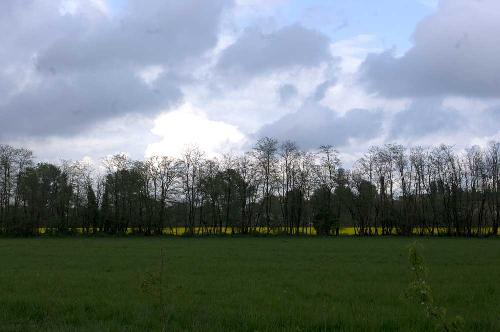 bosco_5